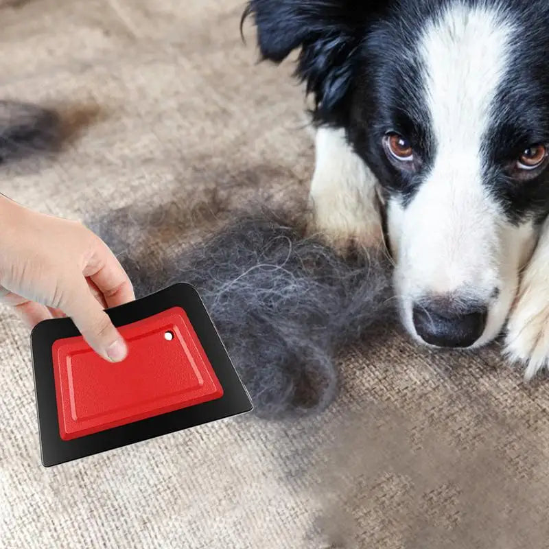 Premium Pet Hair Remover Comb Brush Dog Cat Hair Detailer Cleaning Tool Carpet Sofa Cloth Car Seat Rubber Reusable Pet Combs for Cars, Trucks & SUVs